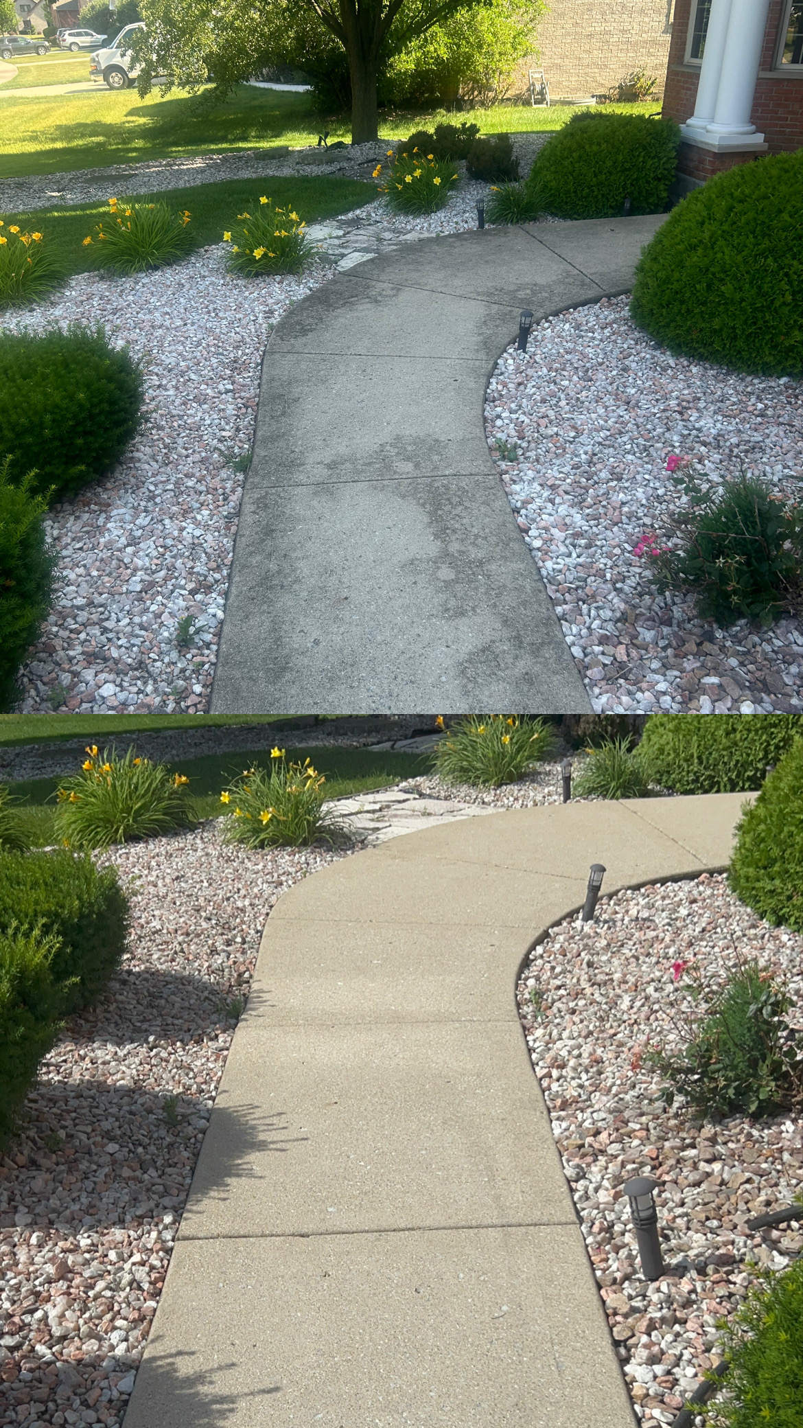 Clean concrete walkway with landscaping after pressure washing