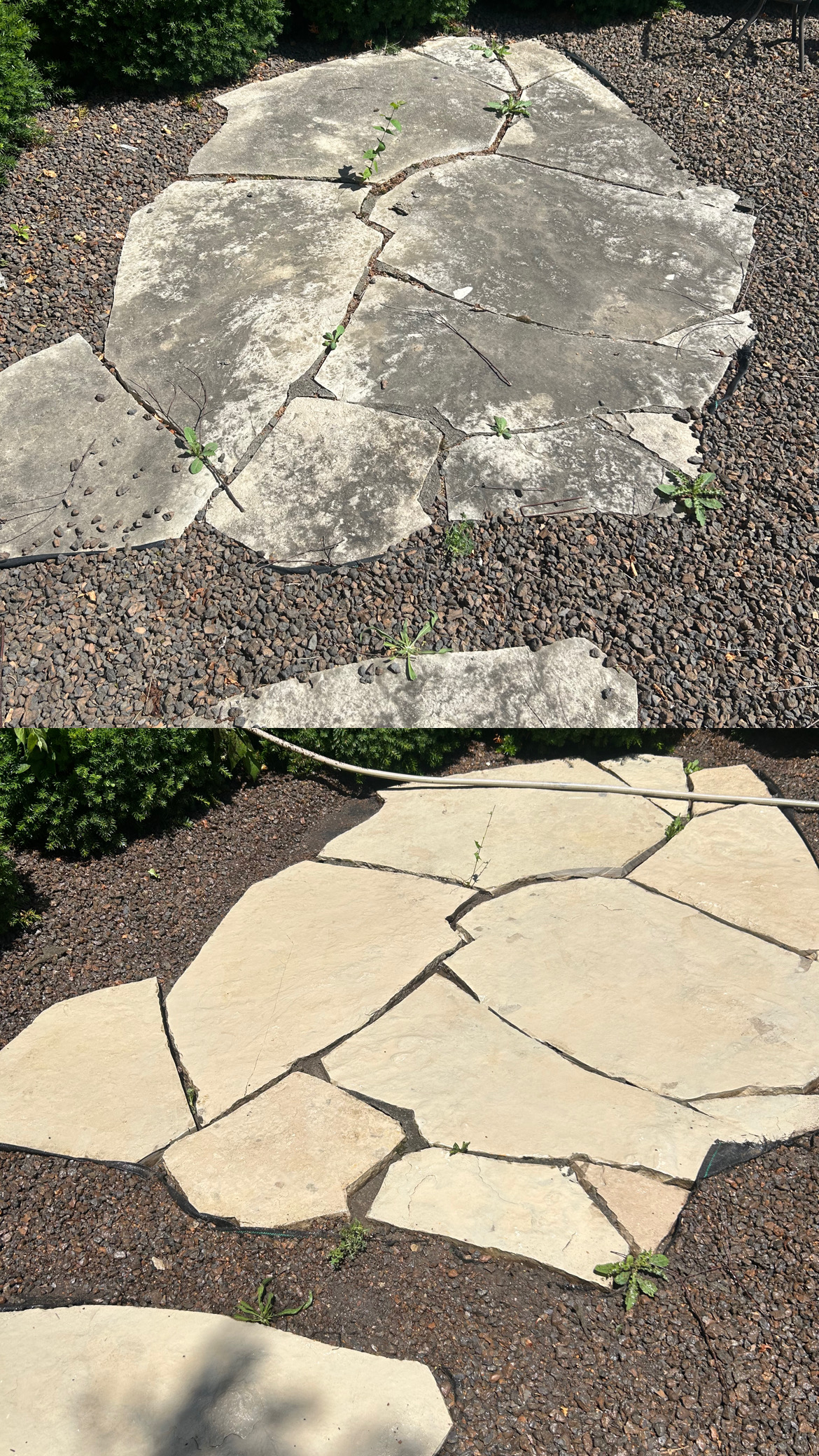 Flagstone patio before and after cleaning - removing weeds and stains